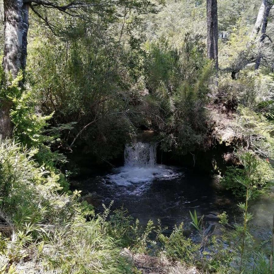 הוילה Curacautín El Rincon De La Olguita מראה חיצוני תמונה